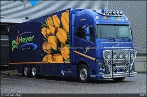 Trucks Holland